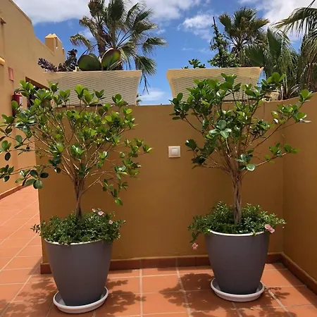 公寓 Casa Molly 科拉雷侯